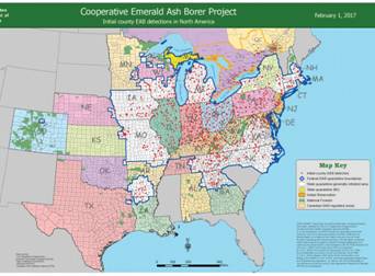 Emerald Ash Borer Range Map